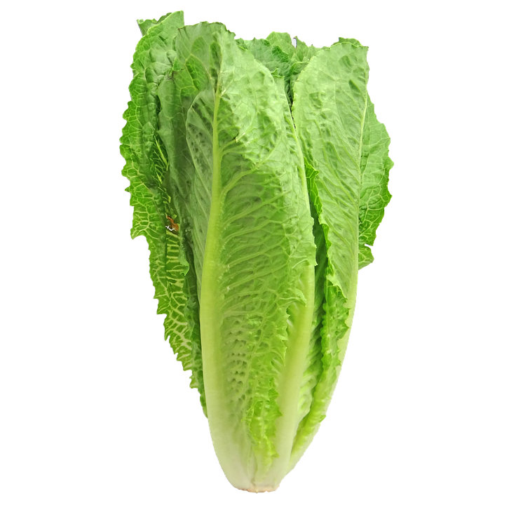 МАРУЛЯ КГ