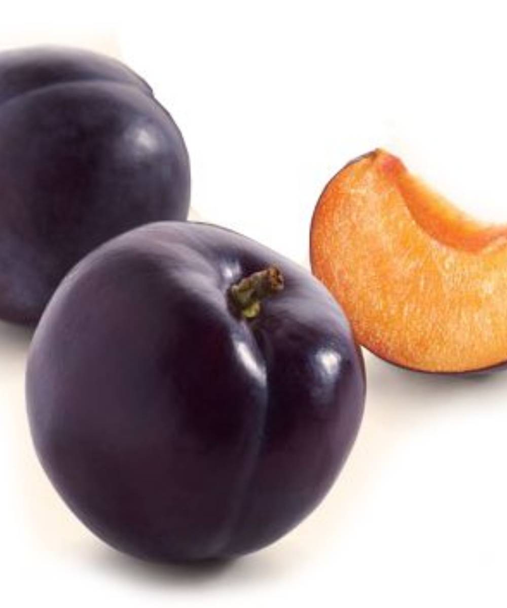 СЛИВА РЕНГЛОТА